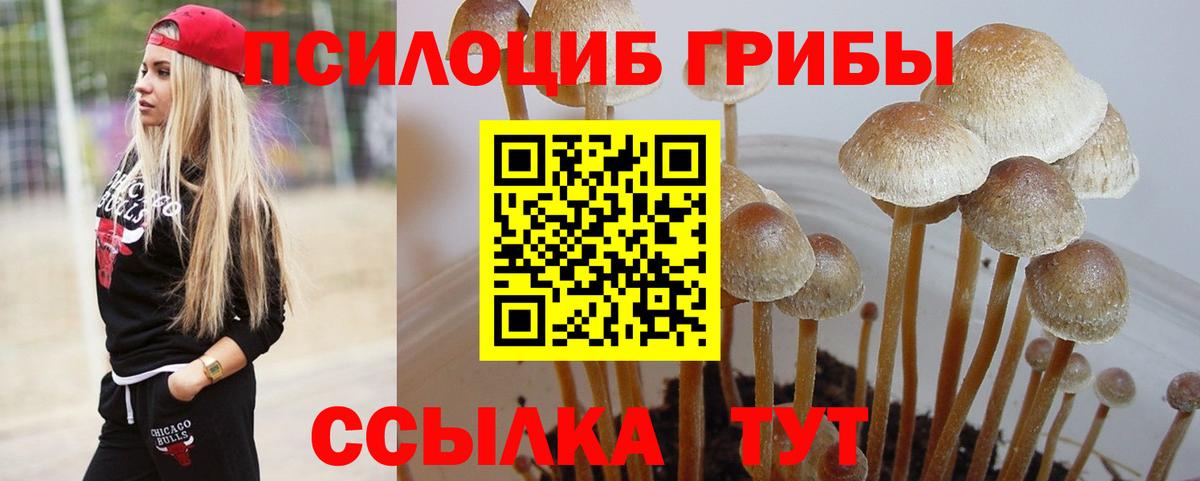 Псилоцибиновые грибы Magic Shrooms Вичуга